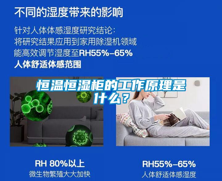 恒溫恒濕柜的工作原理是什么？