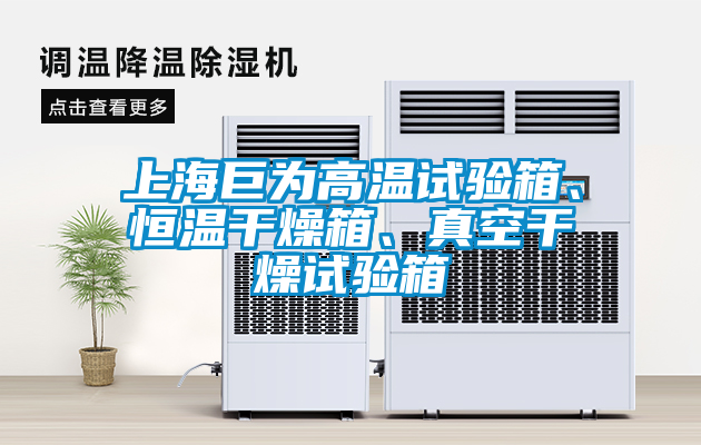 上海巨為高溫試驗(yàn)箱、恒溫干燥箱、真空干燥試驗(yàn)箱