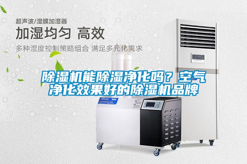 除濕機(jī)能除濕凈化嗎？空氣凈化效果好的除濕機(jī)品牌
