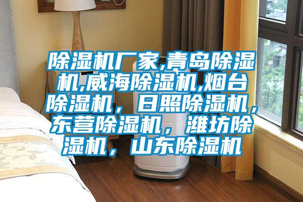 除濕機廠家,青島除濕機,威海除濕機,煙臺除濕機，日照除濕機，東營除濕機，濰坊除濕機，山東除濕機