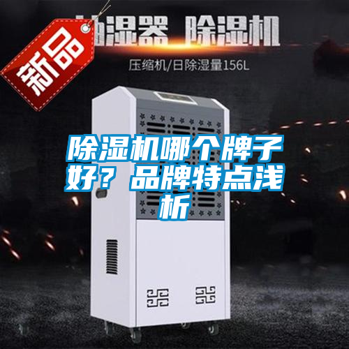 除濕機哪個牌子好？品牌特點淺析
