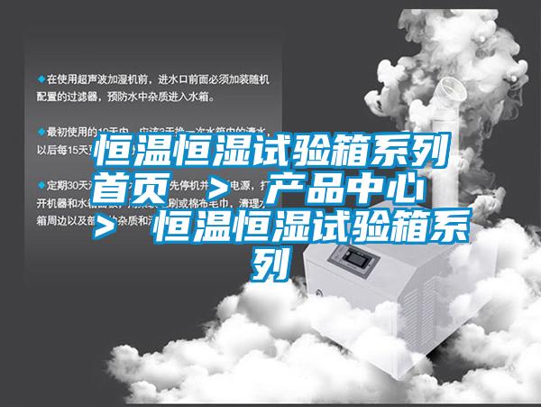 恒溫恒濕試驗箱系列首頁 > 產(chǎn)品中心 > 恒溫恒濕試驗箱系列