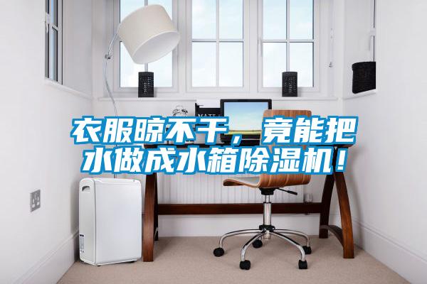 衣服晾不干，竟能把水做成水箱除濕機(jī)！