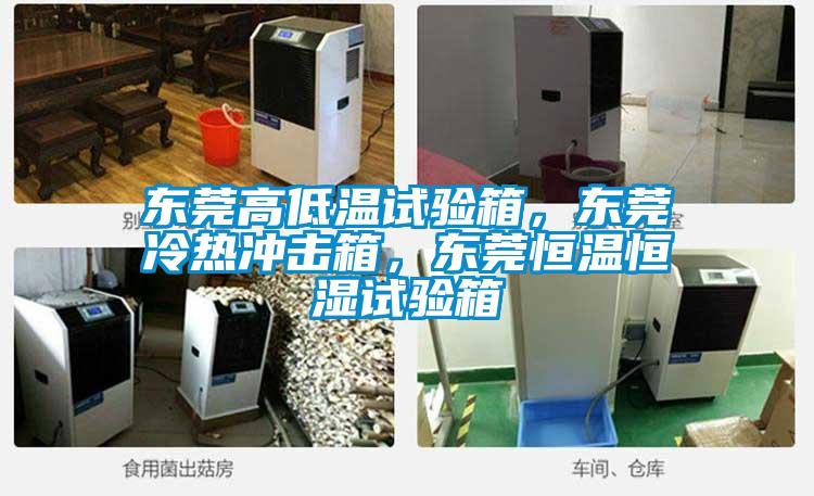 東莞高低溫試驗箱，東莞冷熱沖擊箱，東莞恒溫恒濕試驗箱