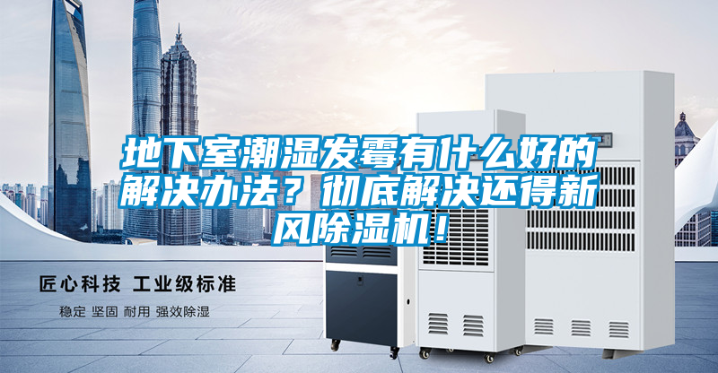地下室潮濕發(fā)霉有什么好的解決辦法？徹底解決還得新風(fēng)除濕機(jī)！