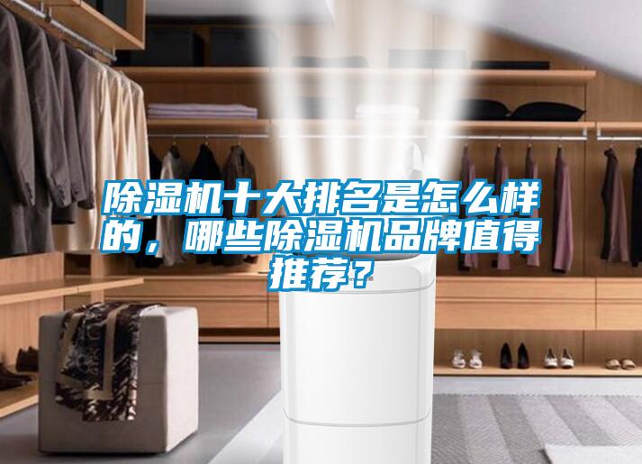 除濕機(jī)十大排名是怎么樣的，哪些除濕機(jī)品牌值得推薦？