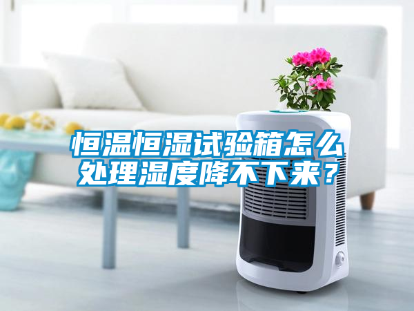 恒溫恒濕試驗箱怎么處理濕度降不下來？