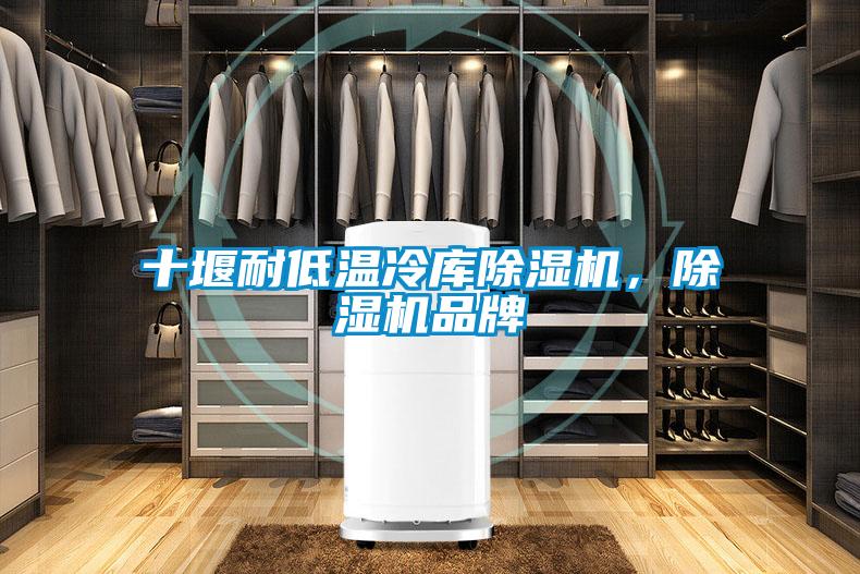 十堰耐低溫冷庫除濕機(jī)，除濕機(jī)品牌