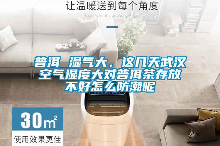 普洱 濕氣大，這幾天武漢空氣濕度大對普洱茶存放不好怎么防潮呢