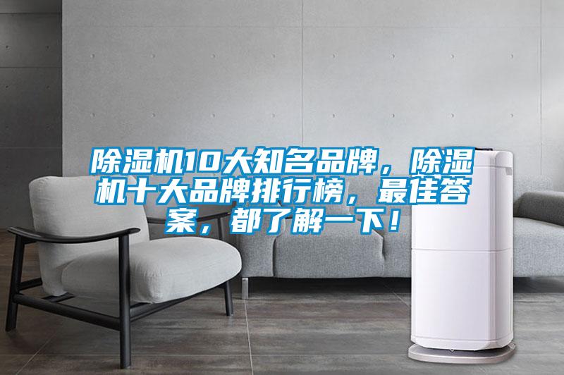 除濕機10大知名品牌，除濕機十大品牌排行榜，最佳答案，都了解一下！