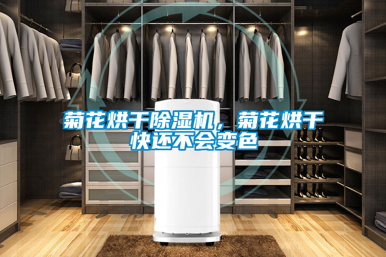 菊花烘干除濕機(jī)，菊花烘干快還不會(huì)變色