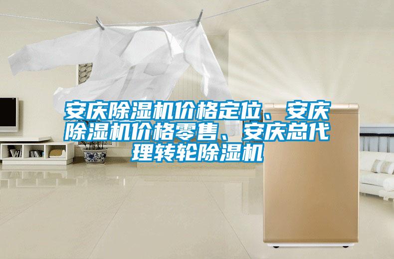 安慶除濕機價格定位、安慶除濕機價格零售、安慶總代理轉(zhuǎn)輪除濕機