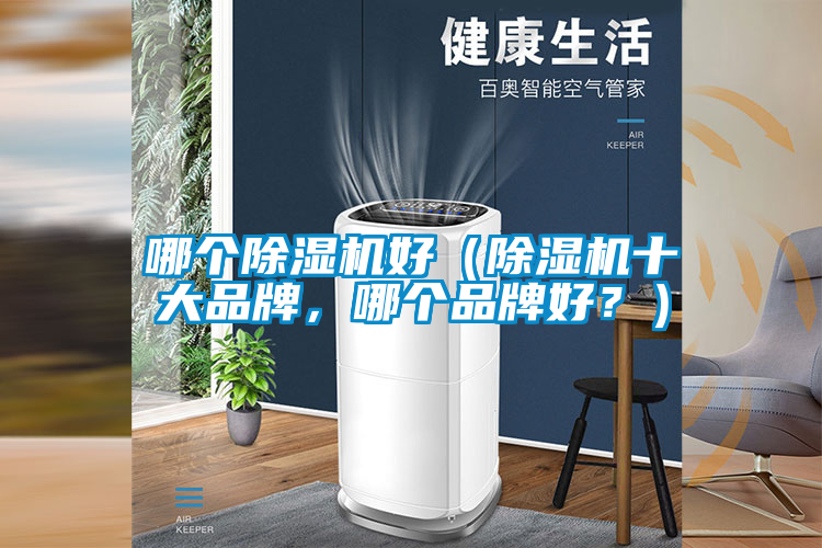 哪個(gè)除濕機(jī)好（除濕機(jī)十大品牌，哪個(gè)品牌好？）