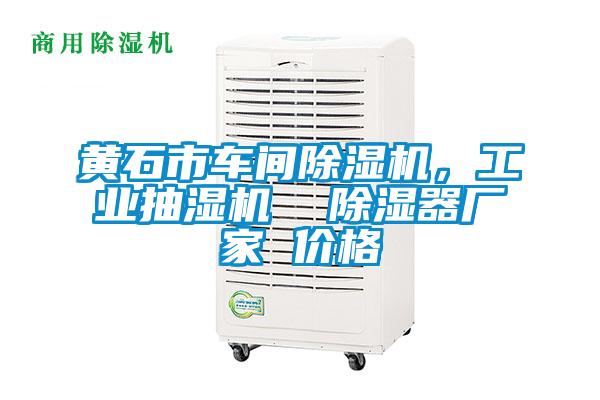 黃石市車間除濕機(jī)，工業(yè)抽濕機(jī)  除濕器廠家 價格