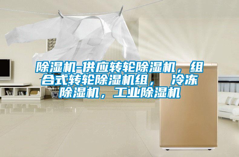 除濕機(jī)-供應(yīng)轉(zhuǎn)輪除濕機(jī)，組合式轉(zhuǎn)輪除濕機(jī)組， 冷凍除濕機(jī)，工業(yè)除濕機(jī)