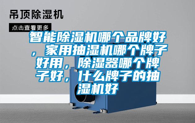 智能除濕機哪個品牌好，家用抽濕機哪個牌子好用，除濕器哪個牌子好，什么牌子的抽濕機好