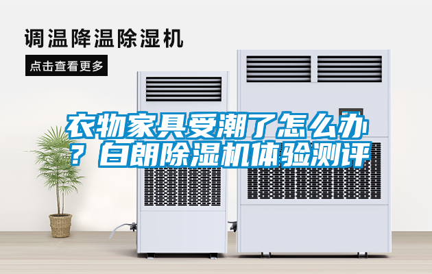 衣物家具受潮了怎么辦？白朗除濕機(jī)體驗(yàn)測(cè)評(píng)