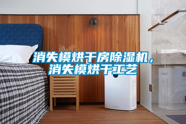 消失模烘干房除濕機(jī)，消失模烘干工藝