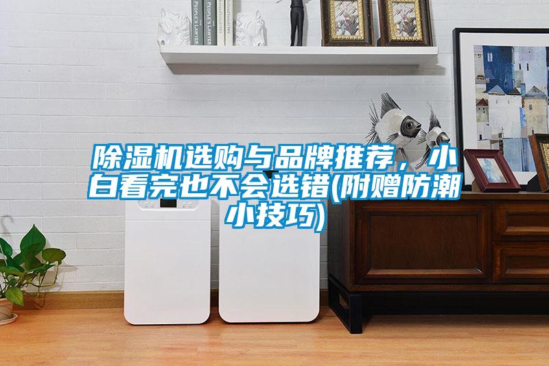 除濕機(jī)選購(gòu)與品牌推薦，小白看完也不會(huì)選錯(cuò)(附贈(zèng)防潮小技巧)