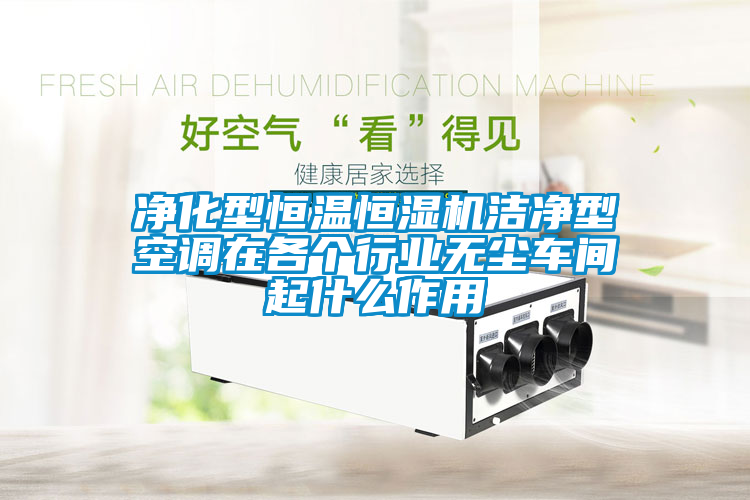 凈化型恒溫恒濕機(jī)潔凈型空調(diào)在各個(gè)行業(yè)無(wú)塵車(chē)間起什么作用