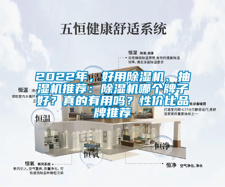 2022年，好用除濕機、抽濕機推薦：除濕機哪個牌子好？真的有用嗎？性價比品牌推薦