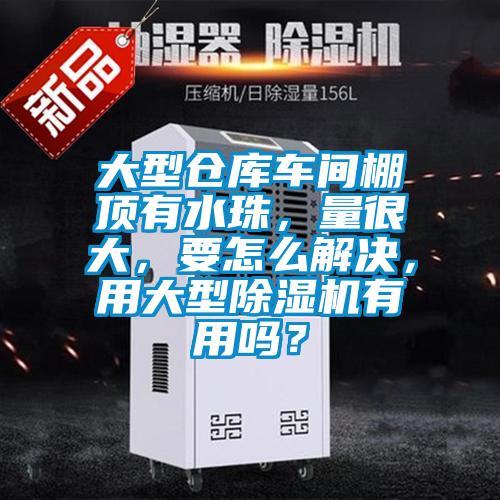 大型倉(cāng)庫(kù)車間棚頂有水珠，量很大，要怎么解決，用大型除濕機(jī)有用嗎？