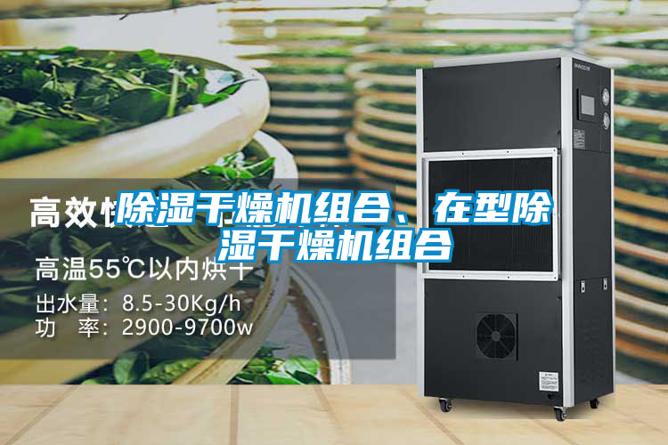 除濕干燥機(jī)組合、在型除濕干燥機(jī)組合