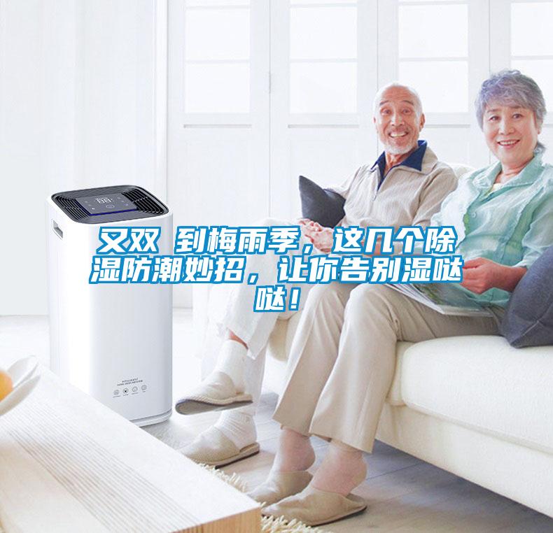 又雙叒到梅雨季，這幾個除濕防潮妙招，讓你告別濕噠噠！