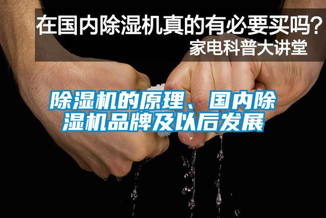 除濕機的原理、國內(nèi)除濕機品牌及以后發(fā)展