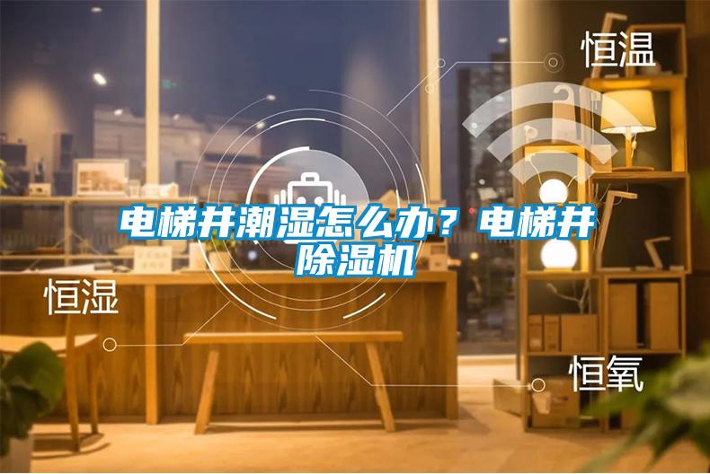 電梯井潮濕怎么辦？電梯井除濕機(jī)