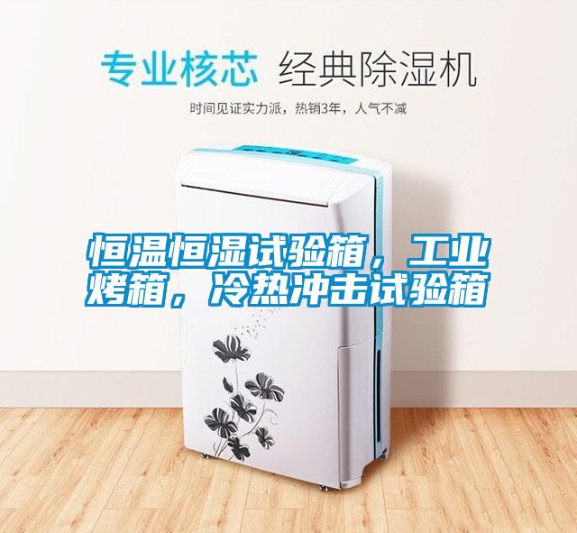 恒溫恒濕試驗箱，工業(yè)烤箱，冷熱沖擊試驗箱