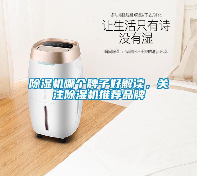 除濕機(jī)哪個(gè)牌子好解讀，關(guān)注除濕機(jī)推薦品牌