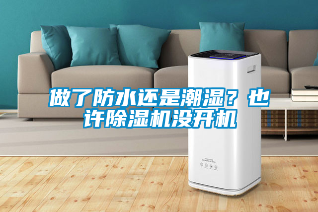做了防水還是潮濕？也許除濕機沒開機