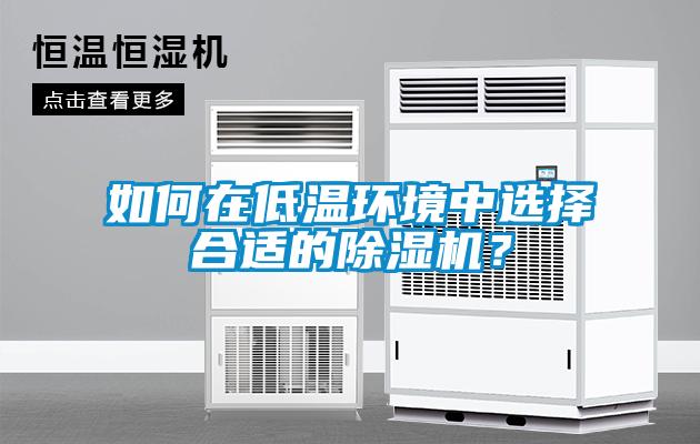 如何在低溫環(huán)境中選擇合適的除濕機？