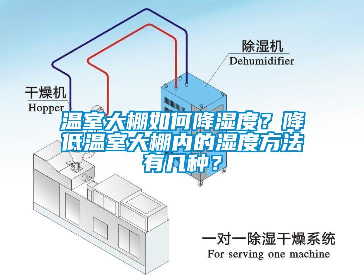 溫室大棚如何降濕度？降低溫室大棚內(nèi)的濕度方法有幾種？