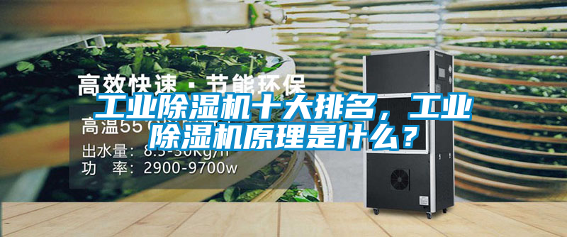 工業(yè)除濕機十大排名，工業(yè)除濕機原理是什么？