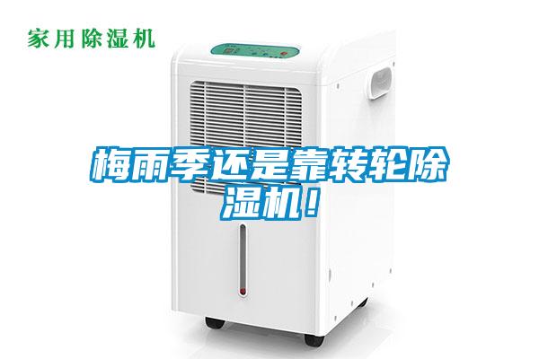 梅雨季還是靠轉(zhuǎn)輪除濕機(jī)！