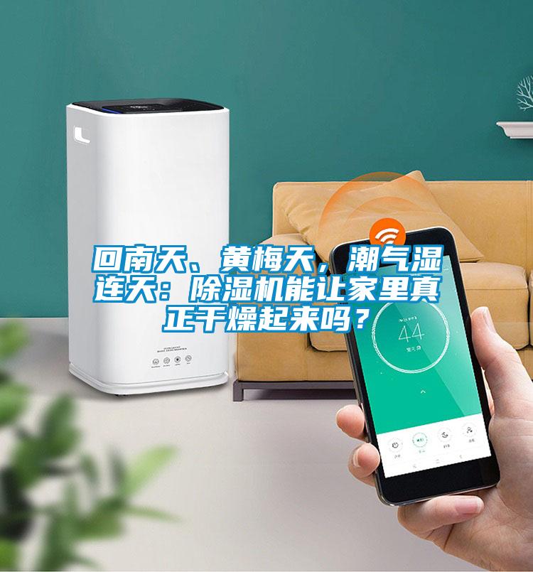 回南天、黃梅天，潮氣濕連天：除濕機(jī)能讓家里真正干燥起來(lái)嗎？