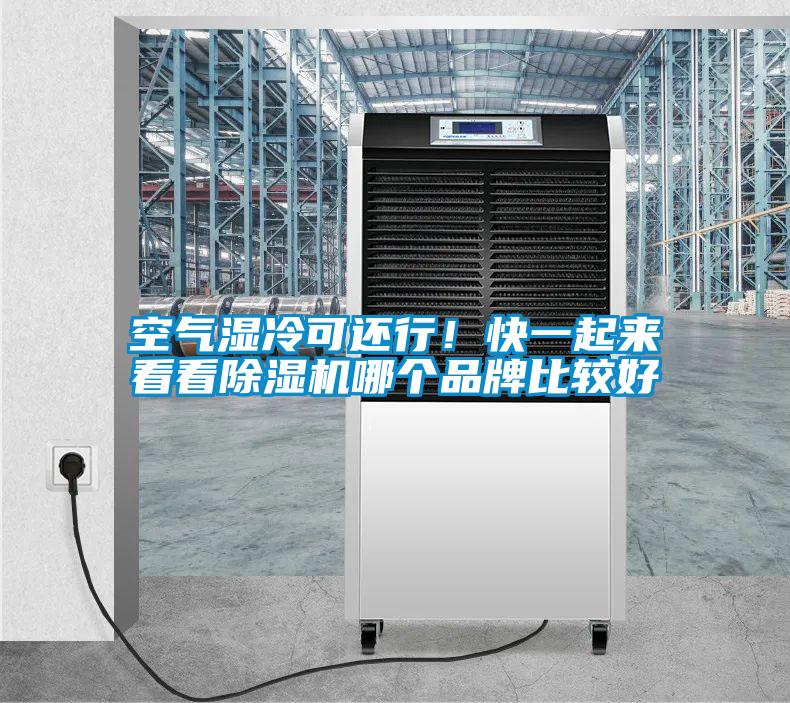 空氣濕冷可還行！快一起來(lái)看看除濕機(jī)哪個(gè)品牌比較好