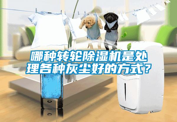 哪種轉(zhuǎn)輪除濕機(jī)是處理各種灰塵好的方式？
