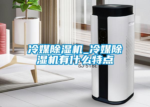 冷媒除濕機(jī)_冷媒除濕機(jī)有什么特點