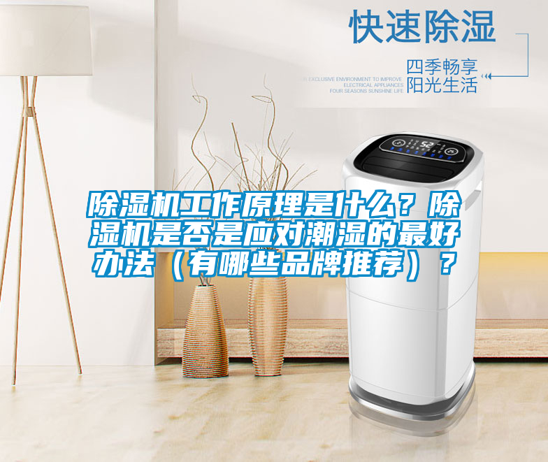 除濕機(jī)工作原理是什么？除濕機(jī)是否是應(yīng)對(duì)潮濕的最好辦法（有哪些品牌推薦）？