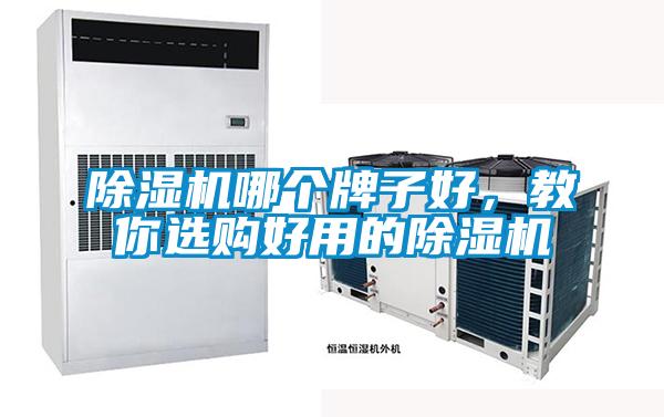 除濕機(jī)哪個(gè)牌子好，教你選購(gòu)好用的除濕機(jī)