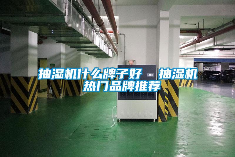 抽濕機(jī)什么牌子好  抽濕機(jī) 熱門(mén)品牌推薦