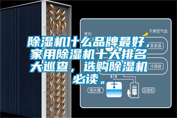 除濕機(jī)什么品牌最好，家用除濕機(jī)十大排名大巡查，選購(gòu)除濕機(jī)必讀。