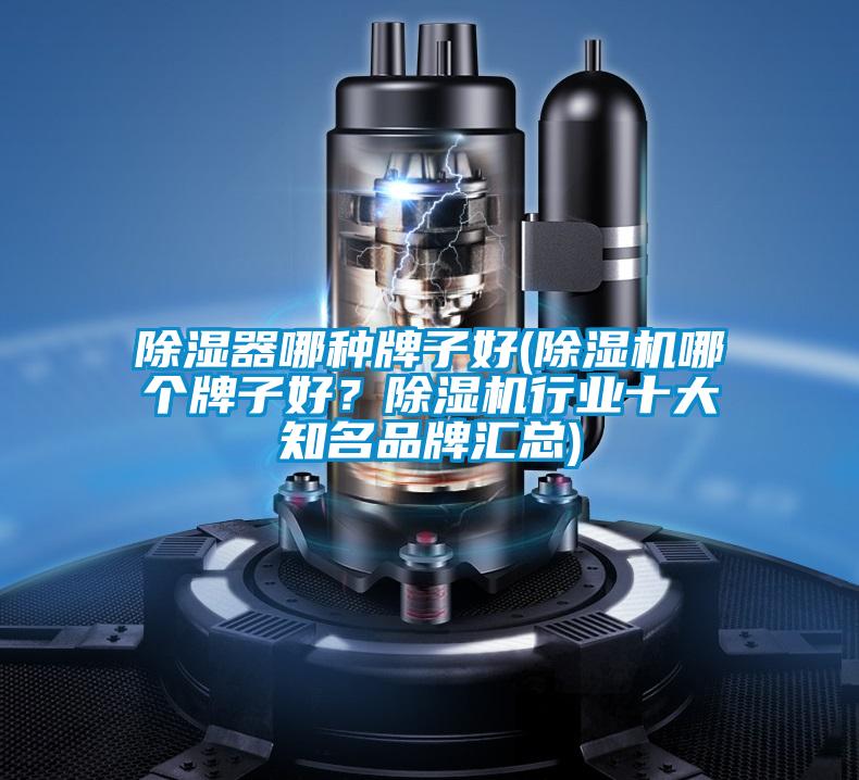 除濕器哪種牌子好(除濕機(jī)哪個(gè)牌子好？除濕機(jī)行業(yè)十大知名品牌匯總)