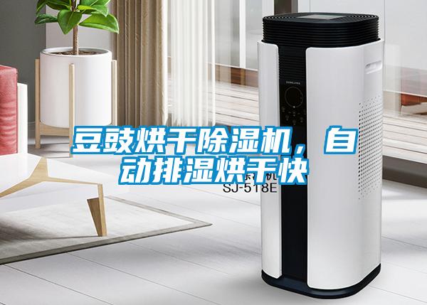 豆豉烘干除濕機(jī)，自動排濕烘干快