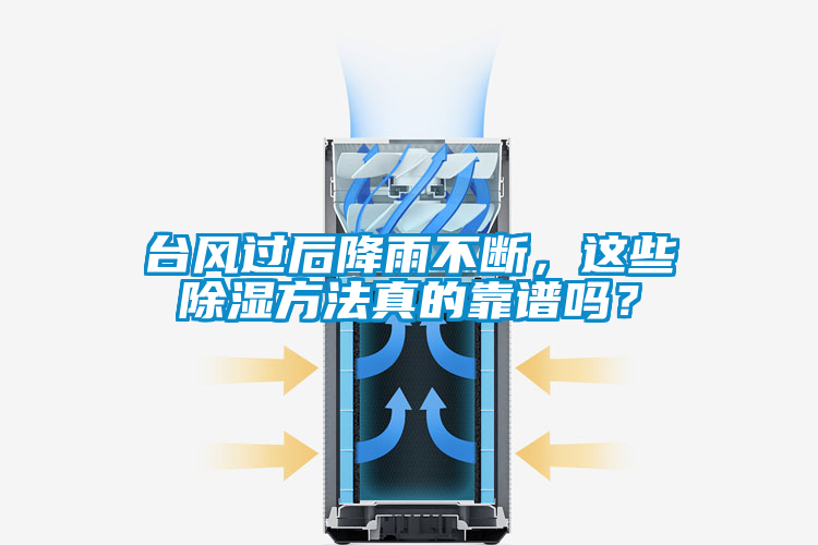 臺(tái)風(fēng)過(guò)后降雨不斷，這些除濕方法真的靠譜嗎？