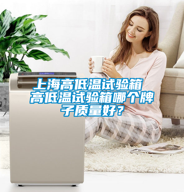 上海高低溫試驗箱 高低溫試驗箱哪個牌子質(zhì)量好？