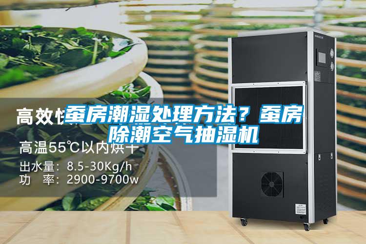蠶房潮濕處理方法？蠶房除潮空氣抽濕機(jī)